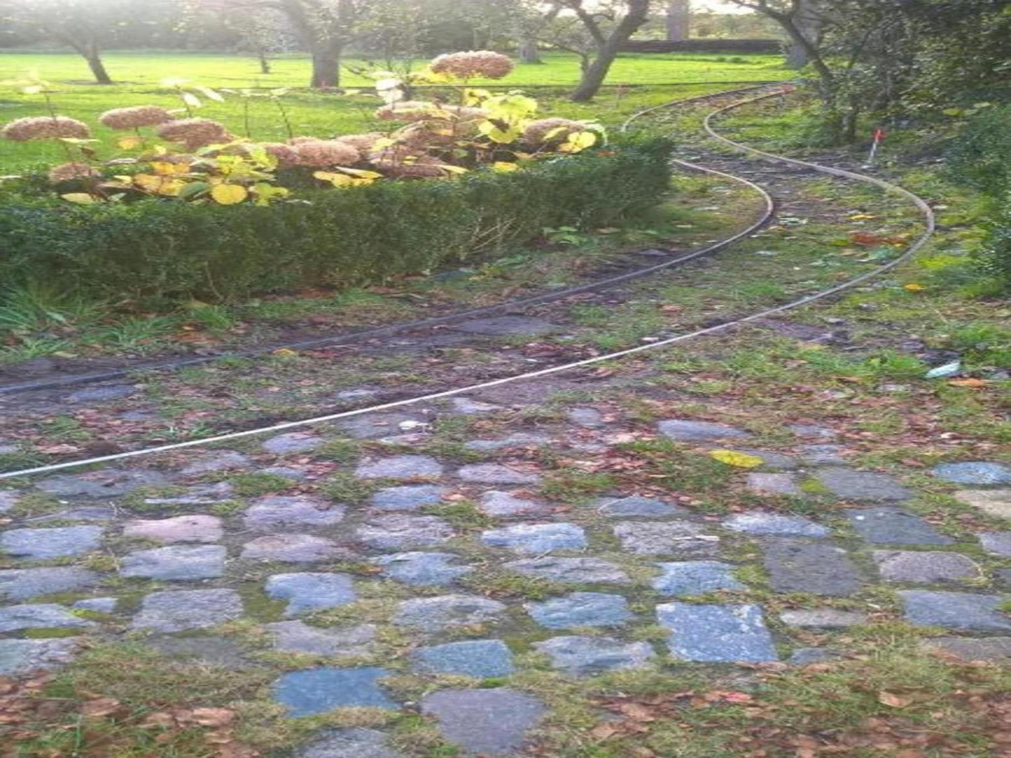 Geesteren  Monumental Farm In The Ash Landscape 빌라 외부 사진